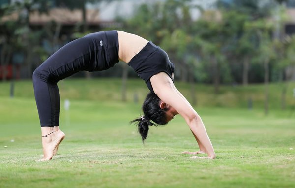 Discover the ultimate pokémon search engine for collectors